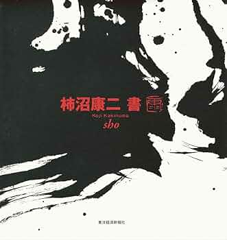 最終価格❇️柿沼康二　臨書　dvd 2025年最新】柿沼康二の人気アイテム - メルカリ